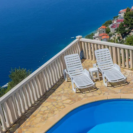 The Oval Pool Horizon * Celina